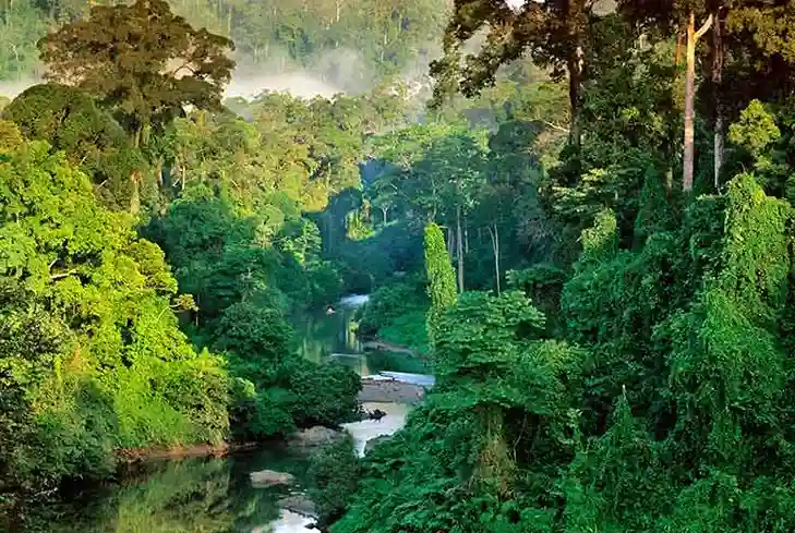 Sri Lanka wild life and Beach Tour